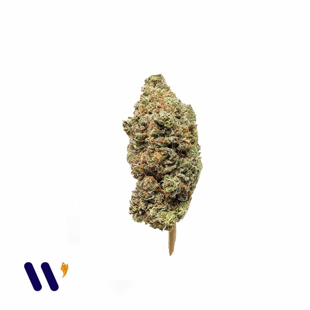 Tropicana Jet Fuel AAAA