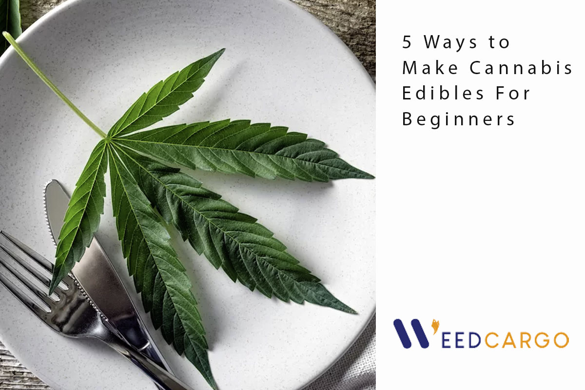 edibles for beginners