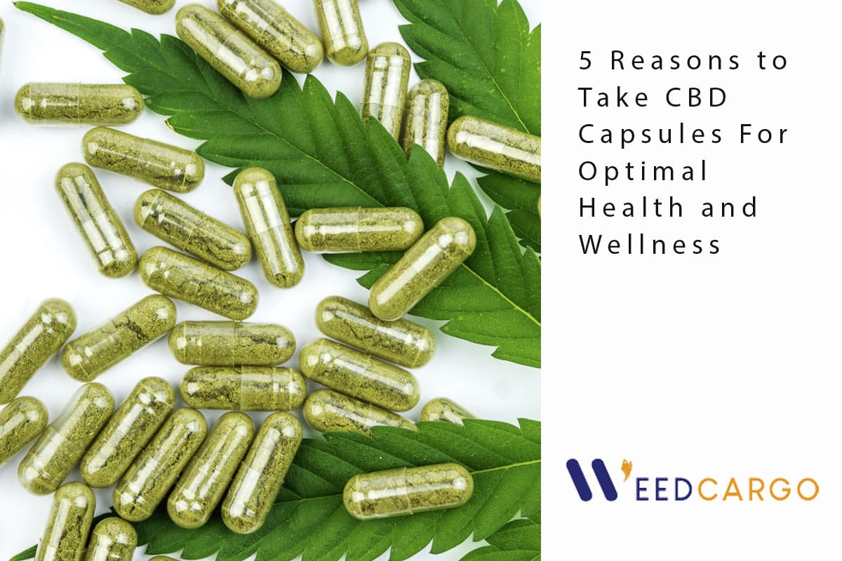 5 Reasons to Take CBD Capsules For Optimal Health and Wellness Weed Cargo
