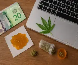 Where to Buy Cheap Shatter Online in Canada – Trusted Sources