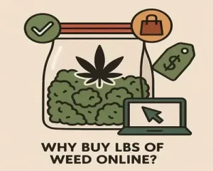 Buying Lbs of Weed Online in Canada What You Need to Know in 2025