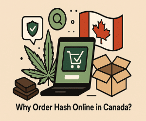 Why Order Hash Online in Canada
