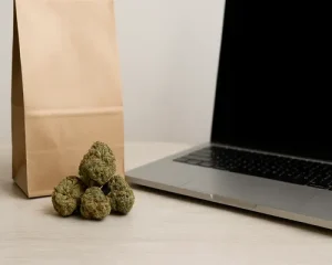 Shopping Tips Where to Buy Black Runtz Strain Online