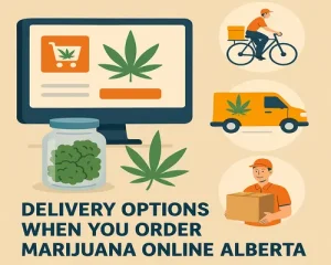 Delivery Options When You Order Marijuana Online Alberta
