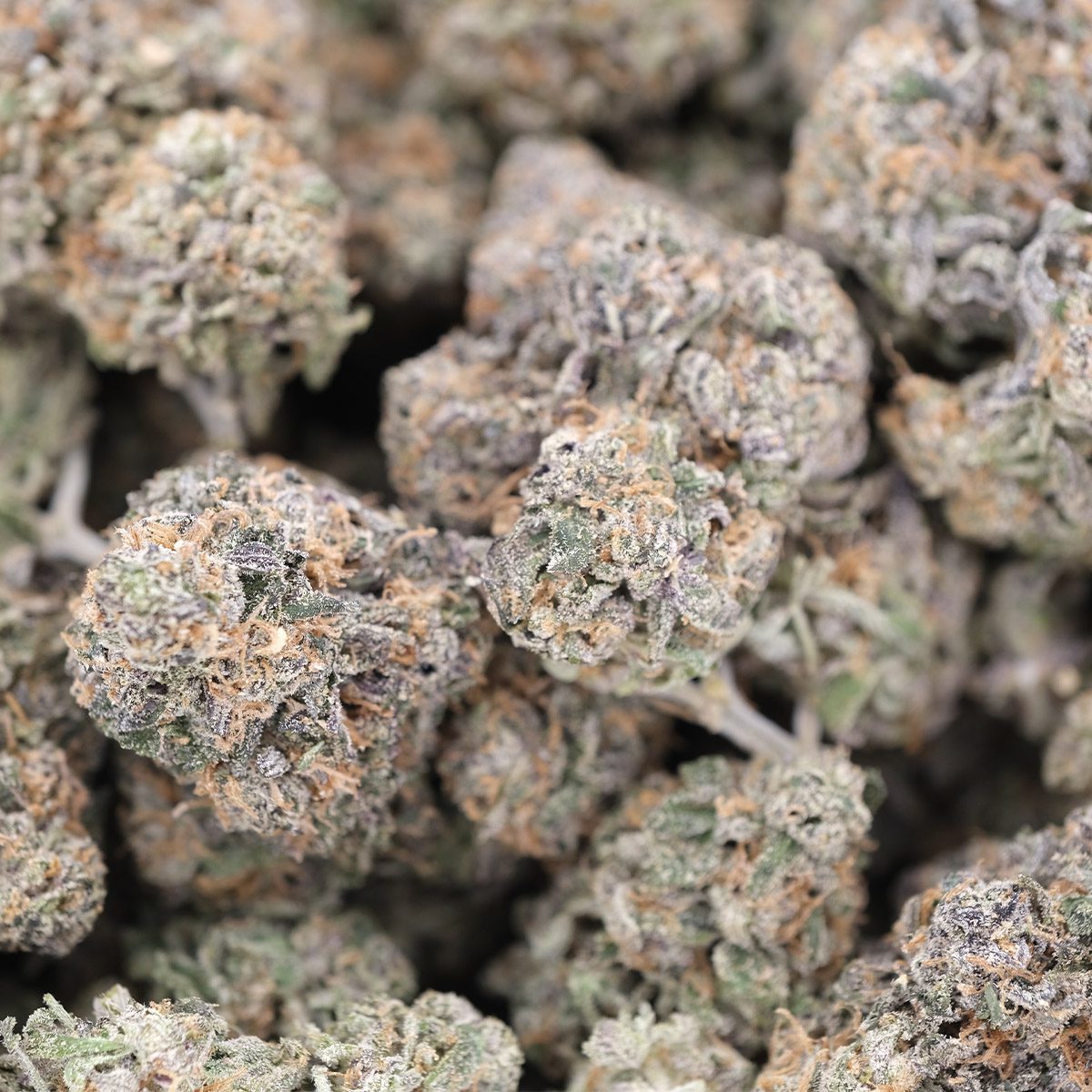 Apples & Bananas – Hybrid – AAA - Image 4