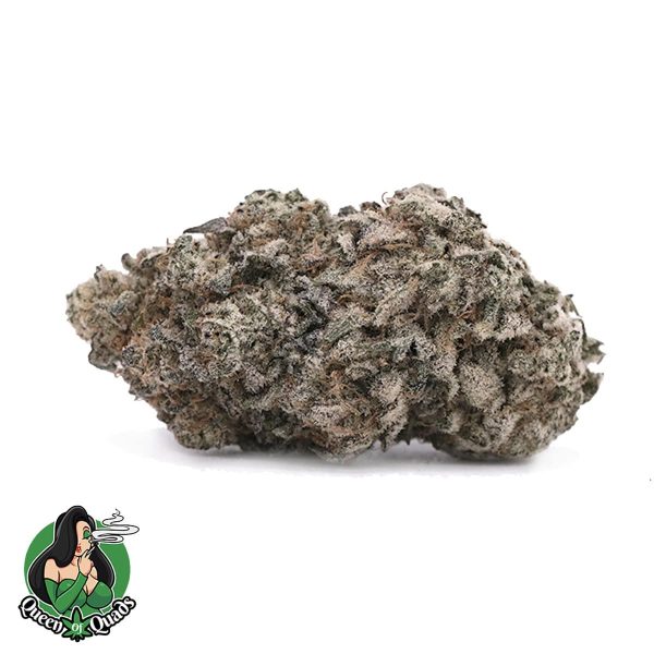 Blackberry Gelato – Hyrbid – AAAA – Queen Of Quads