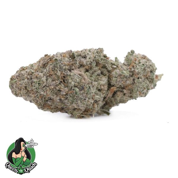Boys Scout Cookies – Hybrid – AAAA – Queen Of Quads