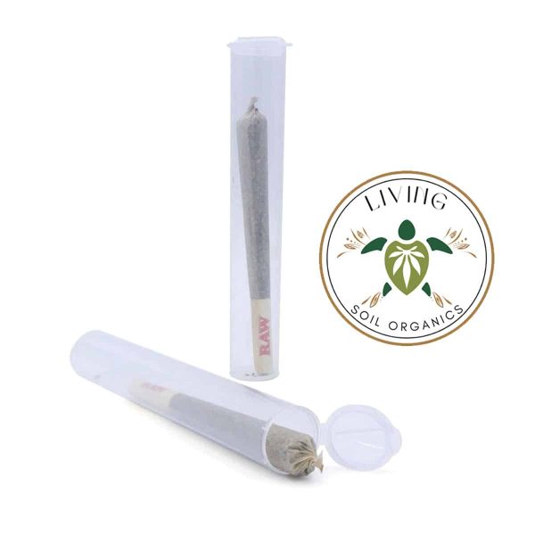 Cream Soda – Prerolls