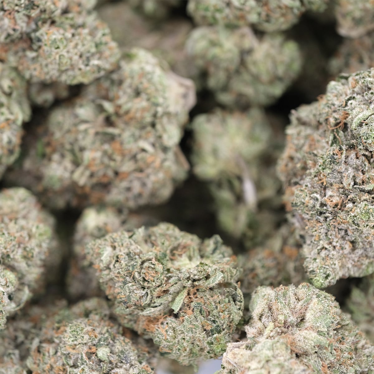 Death Bubba – Indica – Hybrid Dominant - Image 4