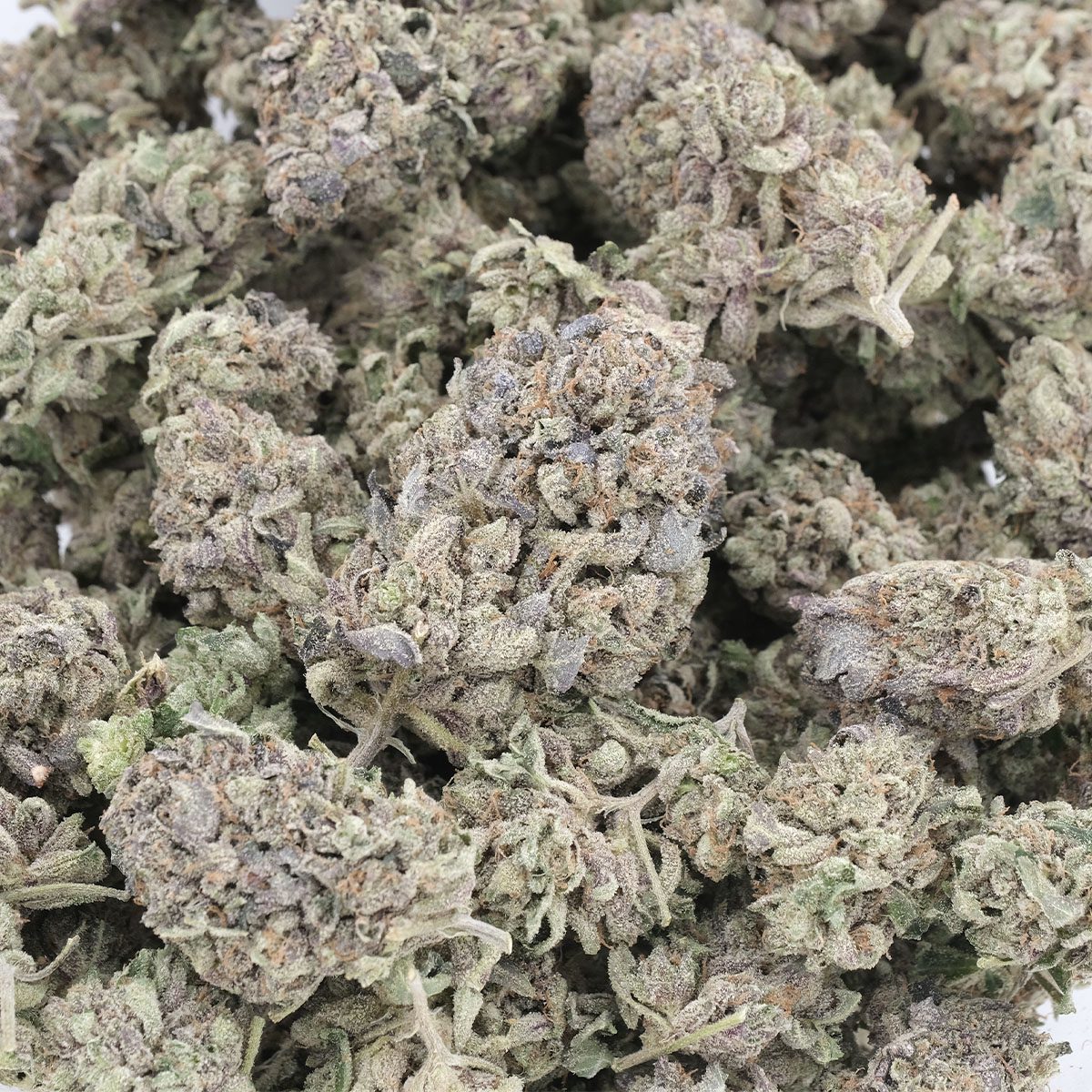 Death Tuna – Indica – AAA - Image 3