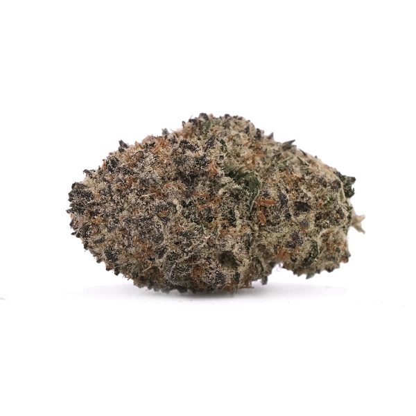 Dosidos – Hybrid – AAA