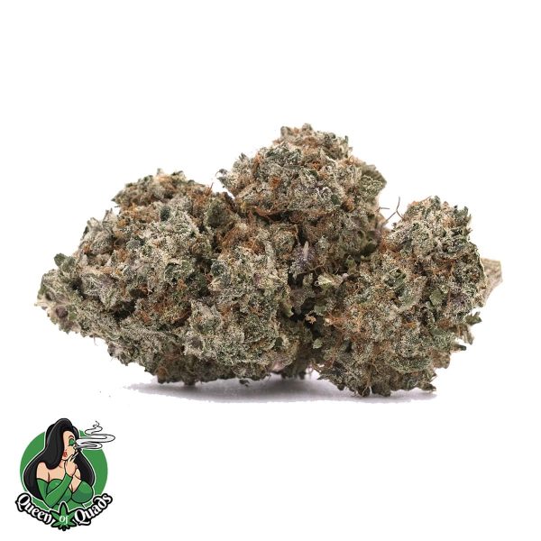 El Chapo – Indica – AAAA – Queen of Quads