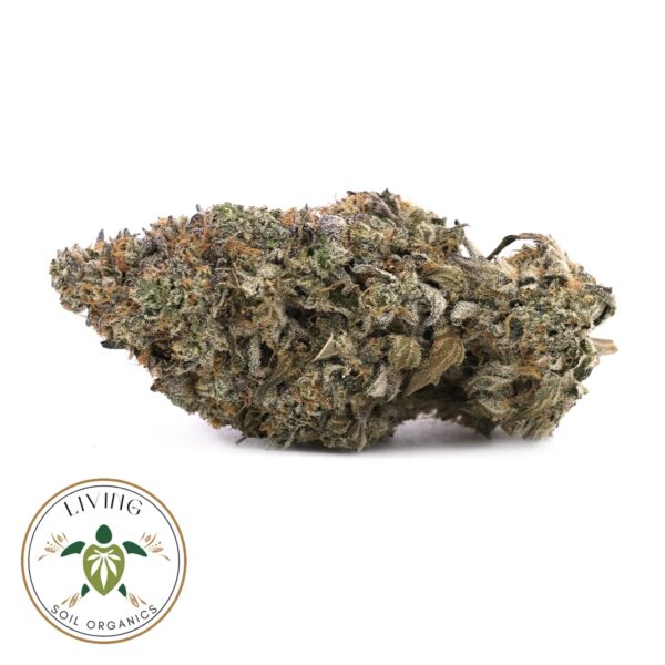 Frosted Gelato – Hyrbid – AAAA – Living Soil Organics