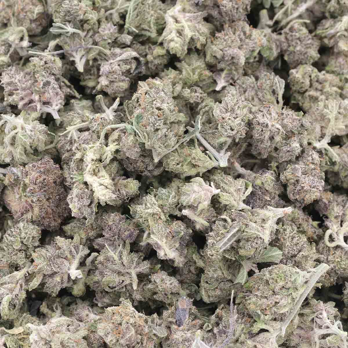 Gas Mask Smalls – Indica – AA - Image 3