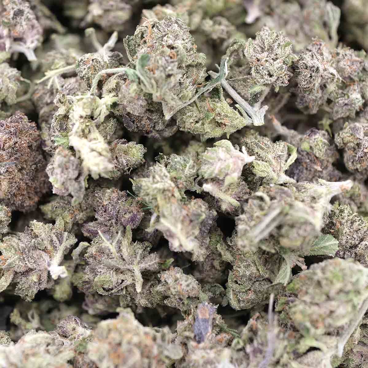 Gas Mask Smalls – Indica – AA - Image 2