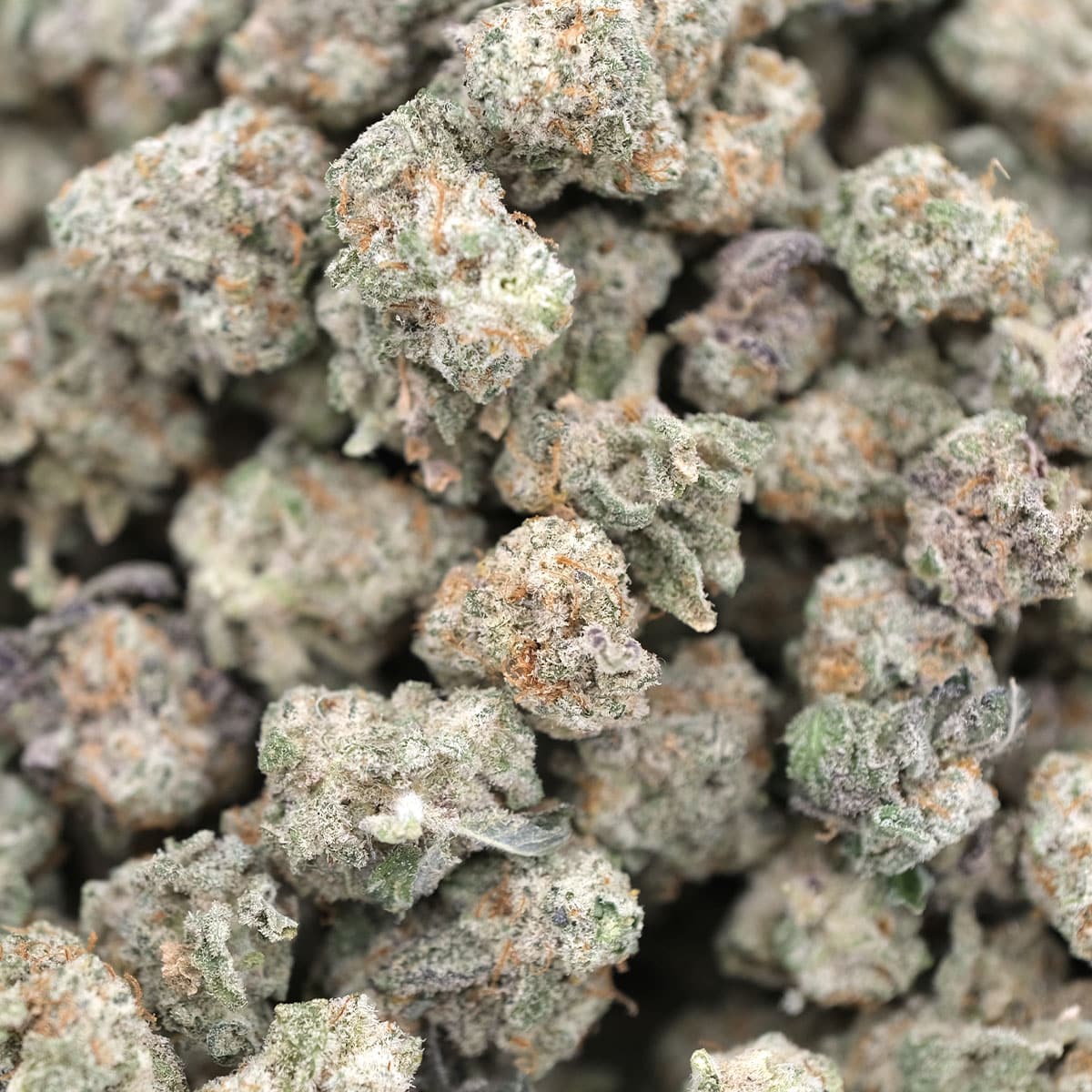 Girl Scout Cookies Smalls – Hybrid – AAA