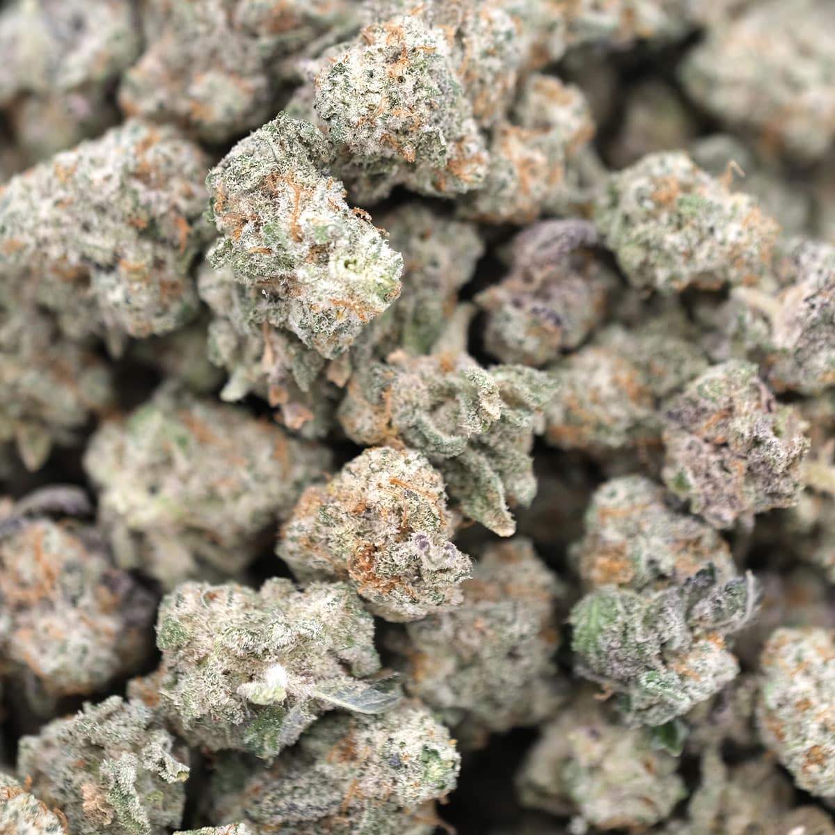 Girl Scout Cookies Smalls – Hybrid – AAA - Image 3