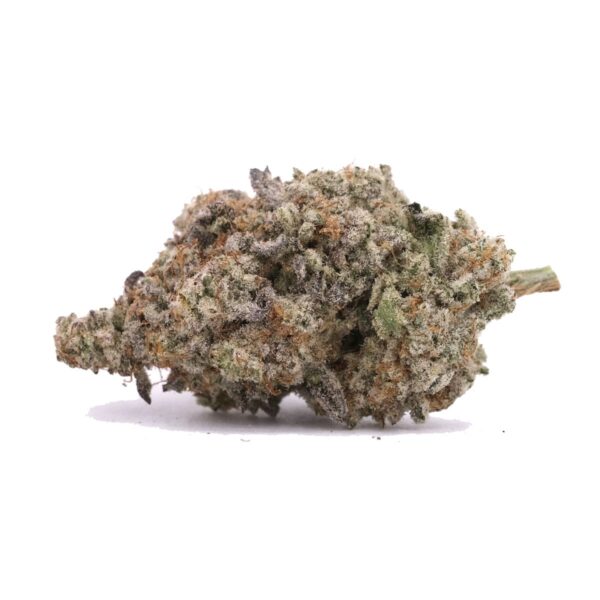 Goji Gushers – AAA+ – Hyrbrid