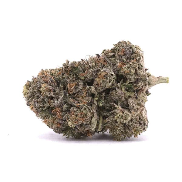 Gorilla Glue – Indica – AAA
