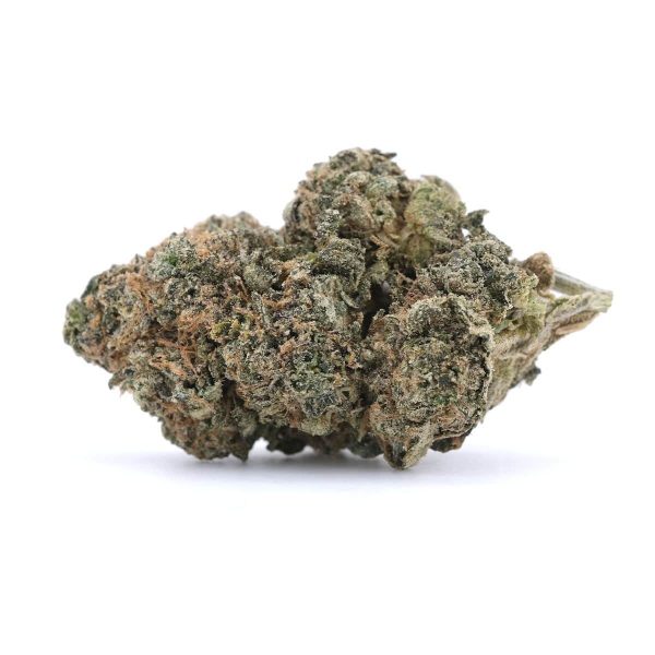 Guava Berry – Indica – AAA