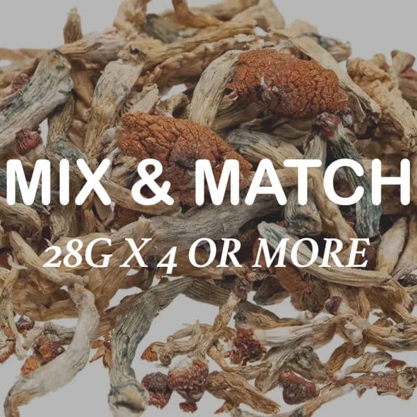 Magic Mushrooms 28g Mix & Match (28g x 4 or more)