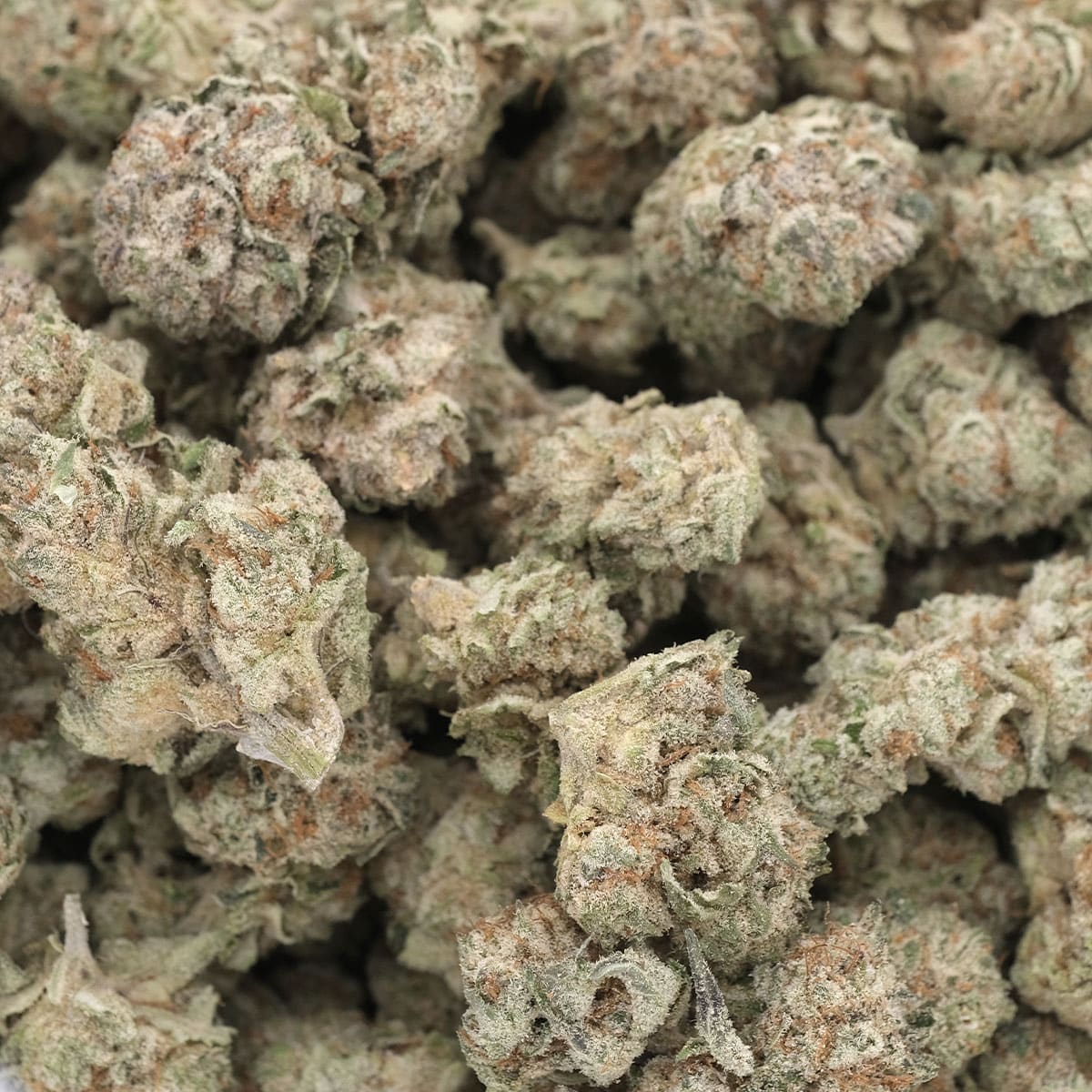 Mango Smoothie – Hybrid – AAA - Image 3