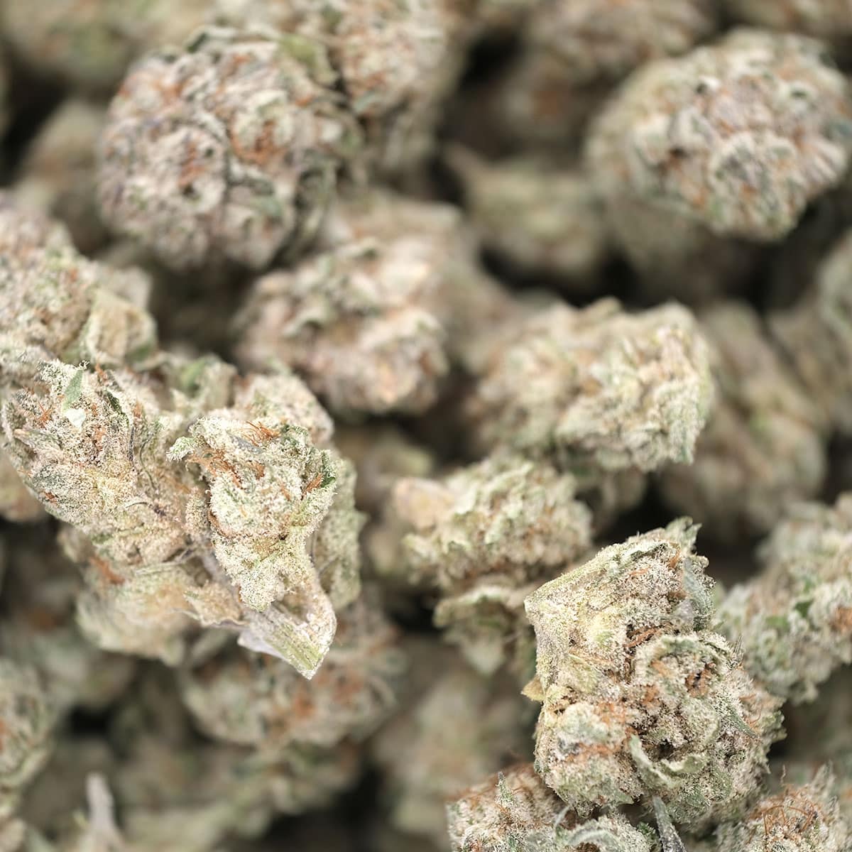 Mango Smoothie – Hybrid – AAA - Image 4