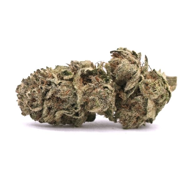 Mango Smoothie – Hybrid – AAA