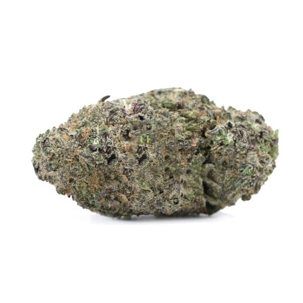 Mataro Blue – Indica – AAA