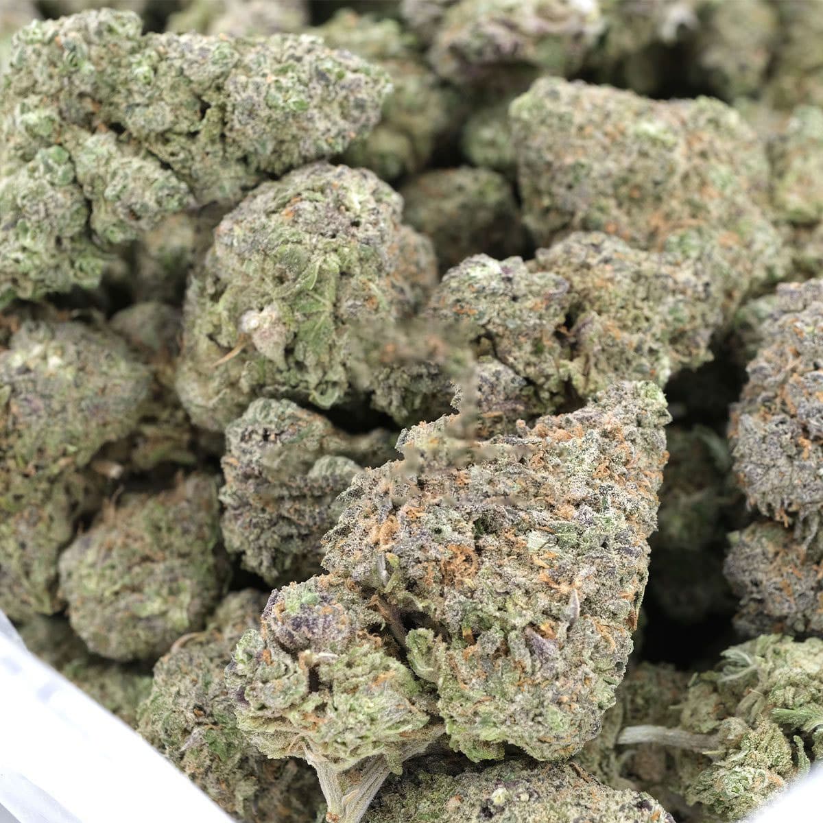 Mataro Blue – Indica – AAA - Image 3