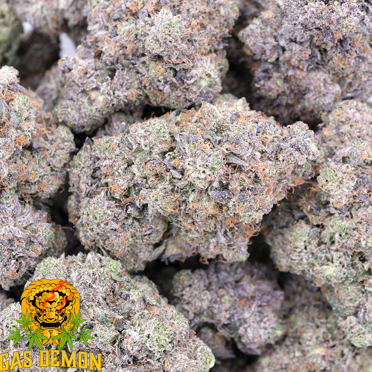 Mike Tyson AAAA Indica Gas Demon