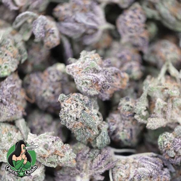 Mint Chocolate Chip Smalls – Hybrid – AAAA – Queen Of Quads