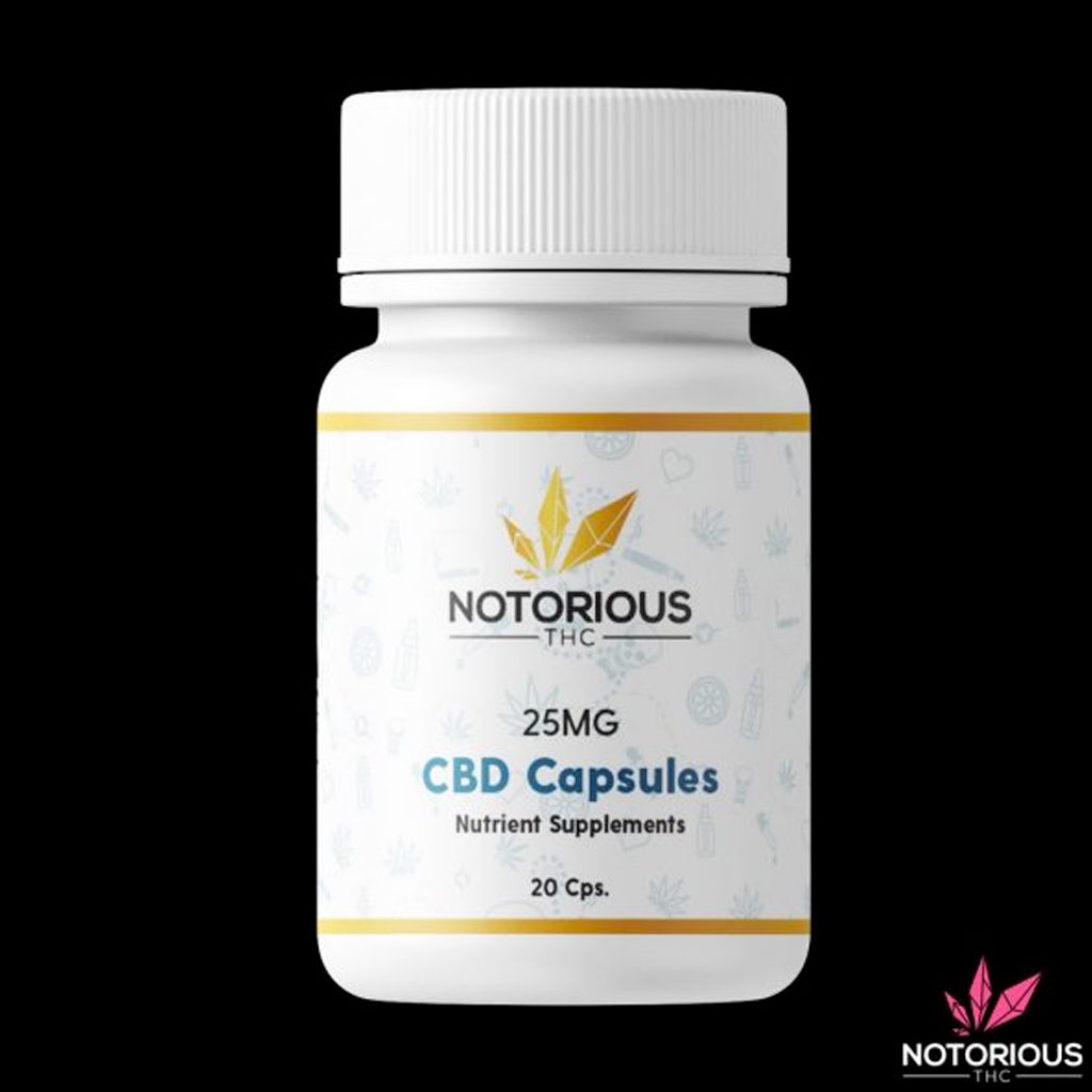 Notorious Capsules 25mg – CBD 500MG per Bottle