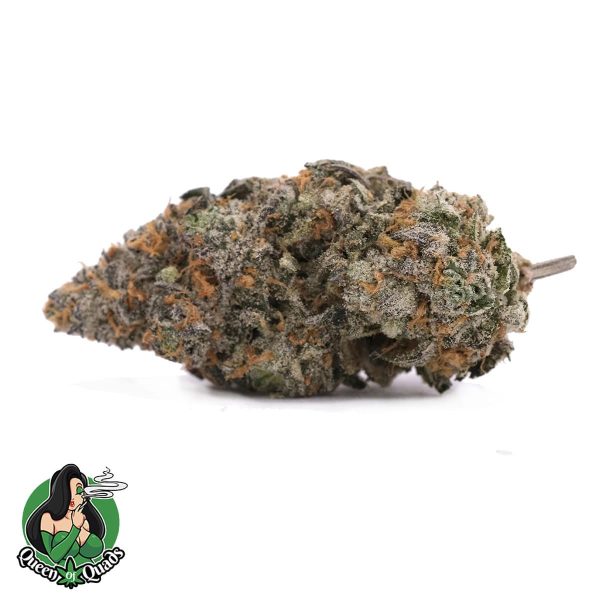 Orange Soda – Sativa Dominant – AAAA – Queen Of Quads