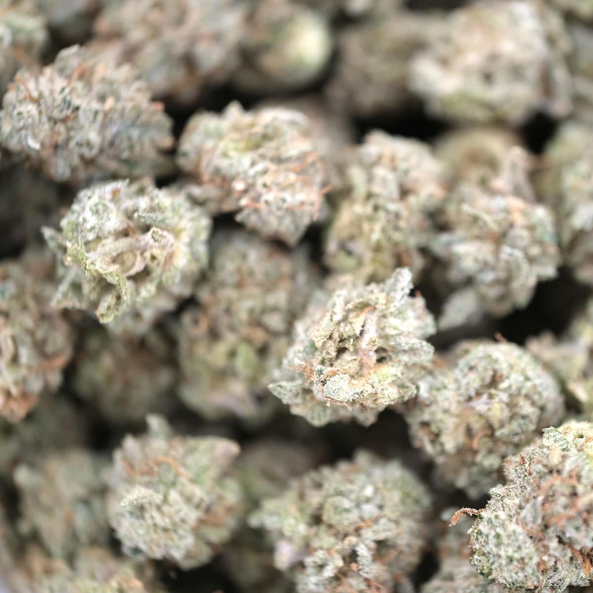 Source photograph: Pop Rocks Smalls