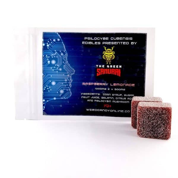 Psilocybe Cubensus Edibles Raspberry Lemonade Gummies - 1000MG - The Green Samurai