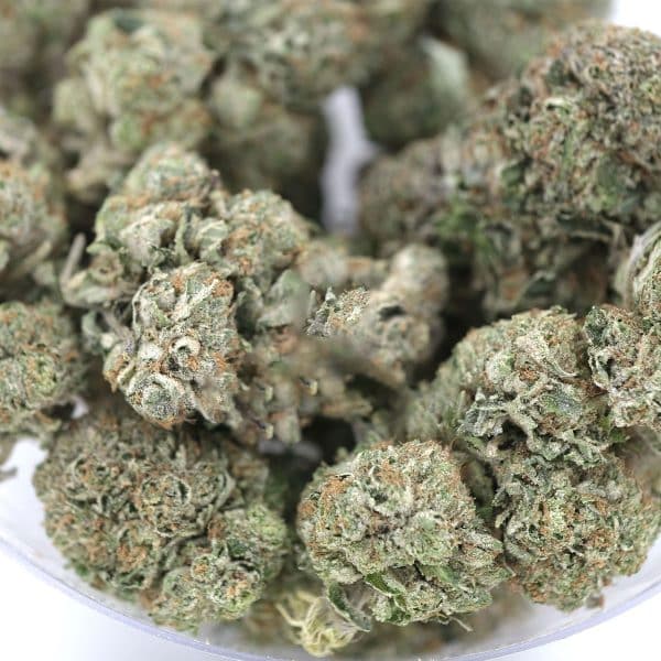 Rock Bud – Indica – AAA