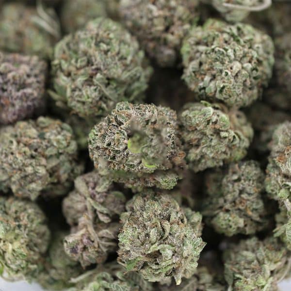 Sin City Kush – Indica – AAA