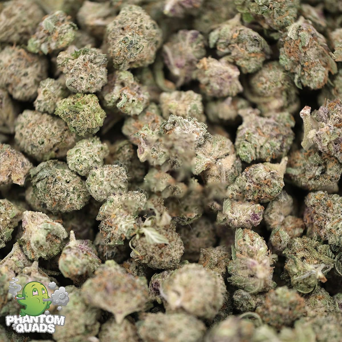 Slurricane – Prerolls - Image 2