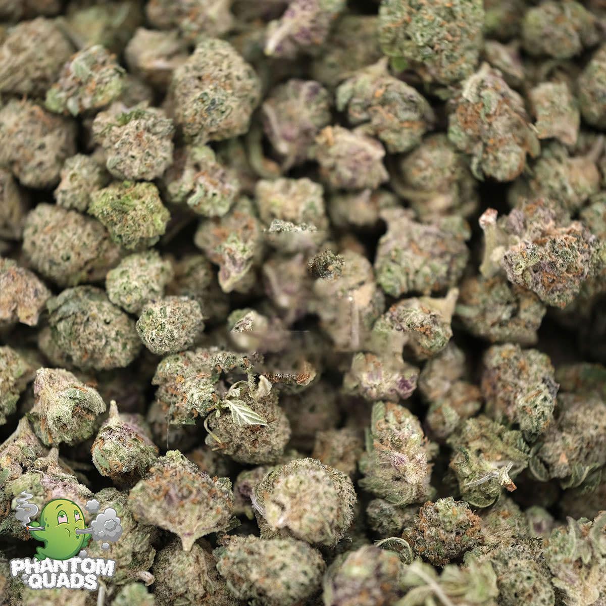 Slurricane – Prerolls - Image 3