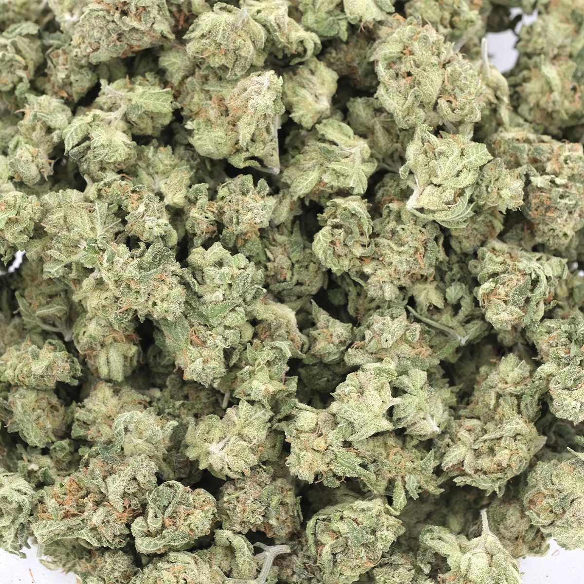 Tangerine Dream (Smalls) – Hybrid – AAA - Image 3