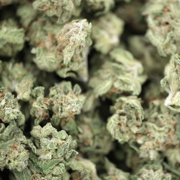 Tangerine Dream (Smalls) – Hybrid – AAA