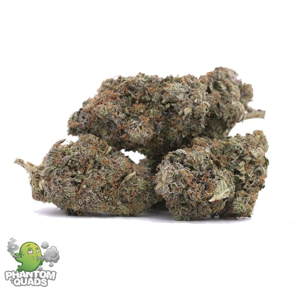 Buy Turkish Hash Plant – AAAA – Indica – Phantom Quads Online - Weed Cargo