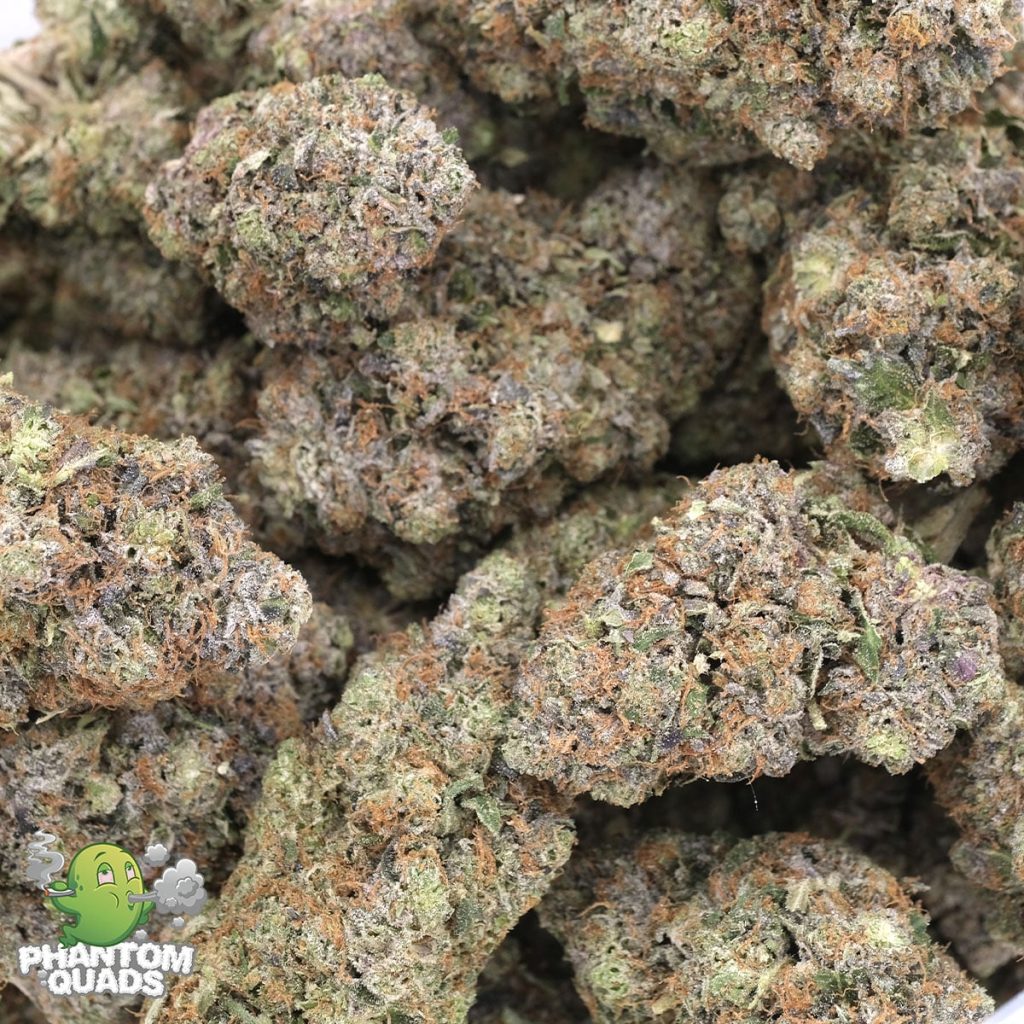 Buy Turkish Hash Plant – AAAA – Indica – Phantom Quads Online - Weed Cargo