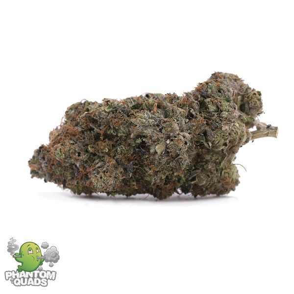 Turkish Hash Plant – AAAA – Indica – Phantom Quads