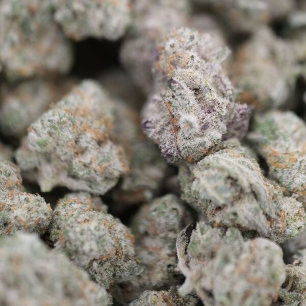 Tutti Fruitti Smalls – Hybrid – AAA+