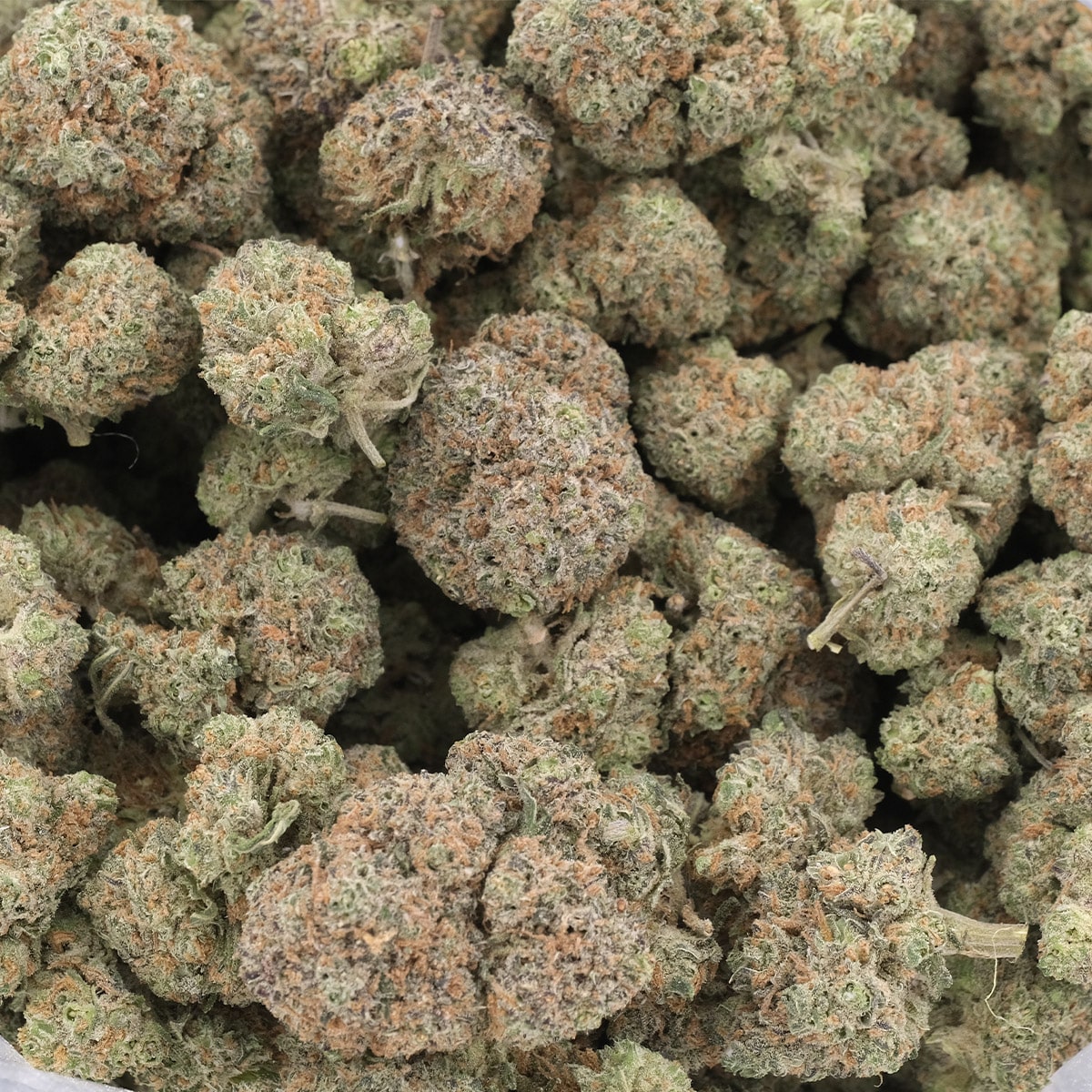 Watermelon Z – Indica – AAA - Image 3