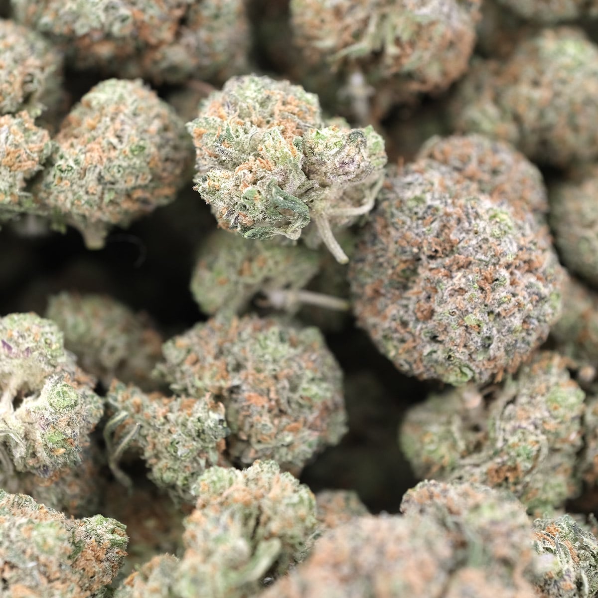 Watermelon Z – Indica – AAA - Image 2