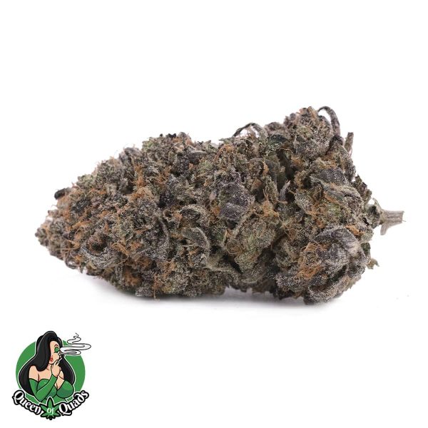 Zombie Tuna – Indica – AAAA – Queen Of Quads