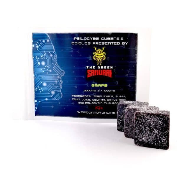 Psilocybe Cubensis Edibles Grape Gummies - 3000MG - The Green Samurai